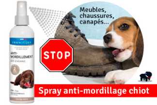 Chiot qui mordille, jusqu'à quel âge un chiot mordille