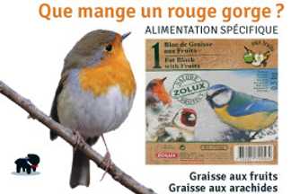 Que mange un rouge gorge, nourriture rouge gorge ?