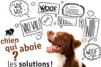 Chien qui aboie : Pourquoi ? Nos solutions !