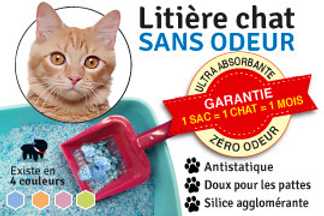 Litière chat sans odeur, meilleure litière chat !
