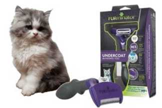 Brosse Furminator chat, la brosse miracle !