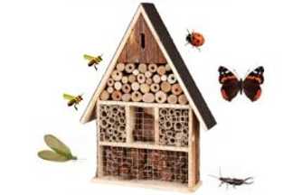 Hôtel à Insecte : avantages, fonctionnement, utilisation et matériaux