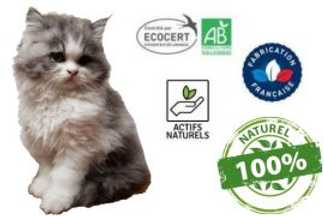 Vermifuge chaton ! à quel âge vermifuger un chaton ?