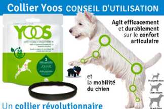 Collier Yoos : Aux Huiles Essentielles contre l'Arthrose !