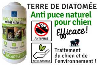 Terre de Diatomée pour chien, Conseil d'utilisation !