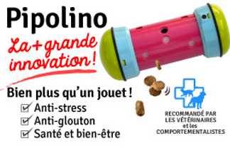 Pipolino pour chien, Conseil d'utilisation !
