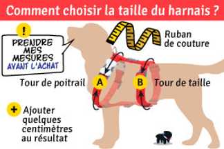 Taille harnais chien : tour poitrail chien : conseil !