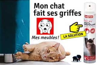 Protéger les fauteuils, canapé des griffes de mon chat.