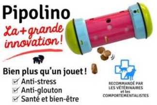 Pipolino chat : Conseil d'utilisation !