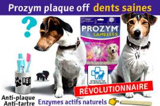 Prozym plaque off : conseil d'utilisation !