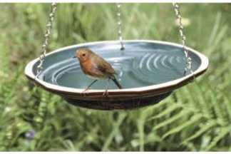 Baignoire pour oiseaux jardin, Conseil d'installation !