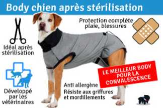 Body pour chien après stérilisation, Tee shirt après opération !