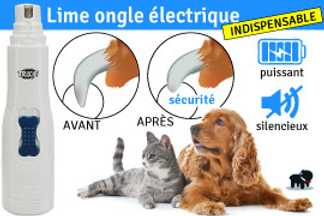 Lime ongle électrique chien, conseil d’utilisation !