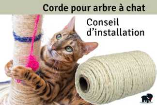Corde pour arbre à chat, conseil d’installation !