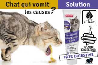 Le chat qui vomit, Causes et Solutions