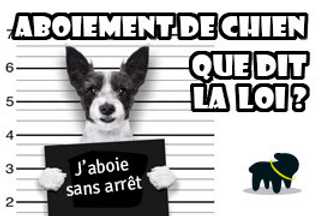 Nuisance sonore chien : Que dit la loi ?