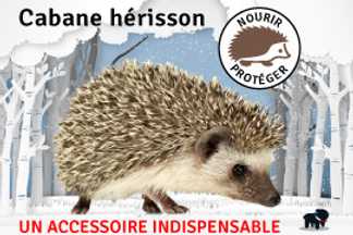 Cabane hérisson, conseil d'installation !