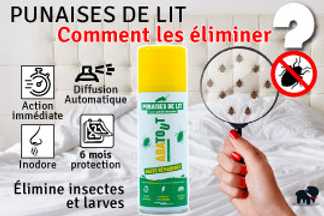 Comment se débarrasser des punaises de lit ?