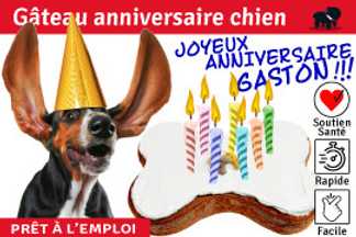 Gâteau anniversaire chien, prêt à l’emploi !