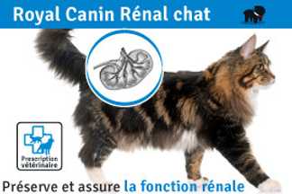 Royal Canin Rénal chat : Les croquettes pour les troubles rénaux
