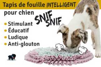 Tapis de fouille pour chien : 3 étapes d'utilisation !