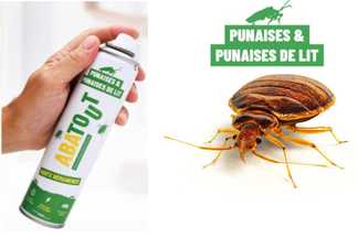 Quel est le spray punaise de lit le plus efficace ?