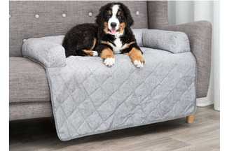 Protection canapé chien : Le protège canapé le + adapté !