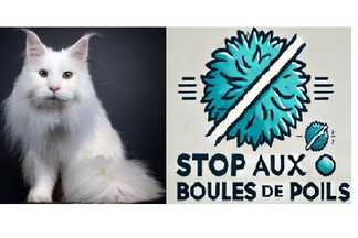 Boule de poils chat, Solution naturelle ! Résultat immédiat !