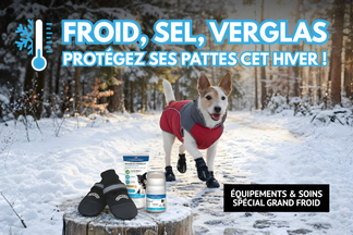 Froid, sel, verglas : protégez les pattes de votre chien !