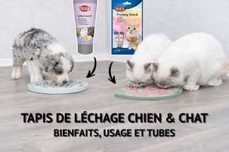 Tapis de léchage chien & chat : bienfaits, usage et tubes