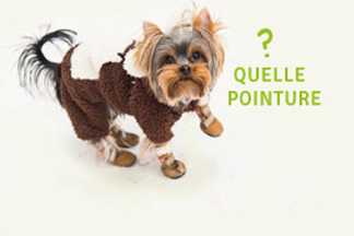 Quelle taille de chaussures pour mon chien ?