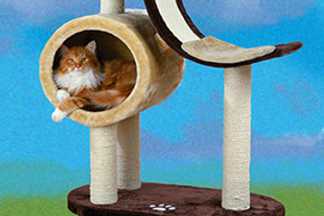 Arbre à chat, griffoir, pour chat d'appartement