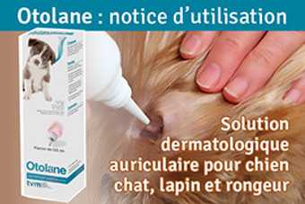 Otolane