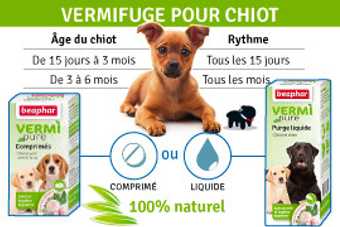 vermifuge pour chiot