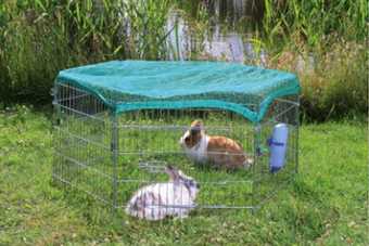 enclos lapin