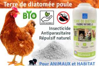 Terre de diatomée pour poule