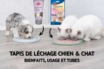 Chiot et chats qui lèchent des tapis de léchage garnis, à côté d'un tube de pâté pour chien et de friandises crème pour chat