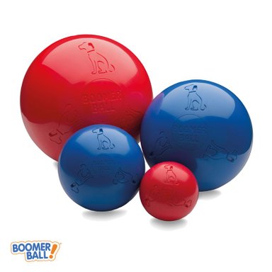 Boomer Ball, balle pour chien indestructible — photo 1