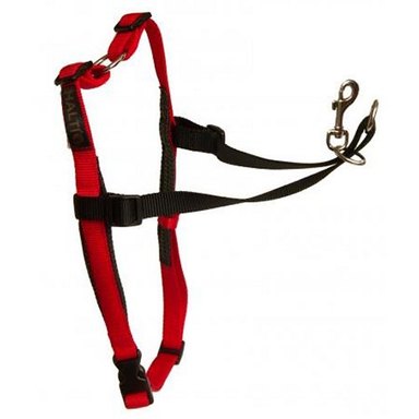 HALTI Harnais de dressage pour chien — photo 4