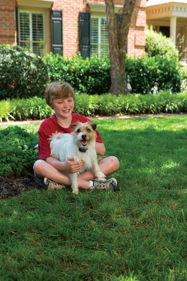 Collier anti-aboiement à spray petit et moyen chien PetSafe — photo 3