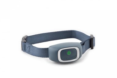 Collier anti aboiement petit chien efficace PetSafe — photo 2