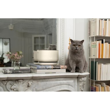 Fontaine à eau sans fil, design et silencieuse pour chien et chat — photo 7