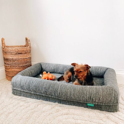 Chien allongé au calme dans un panier douillet avec son jouet