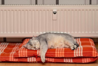 Chat gris british shorthair endormi sur un coussin à carreaux rouges devant un radiateur