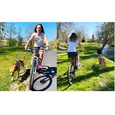 Barre Cani VTT : Traction canicross vélo, Tous nos conseils Pro ! - photo 3