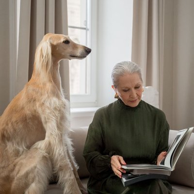 Saluki - Comment nourrir un chiot Saluki correctement ?