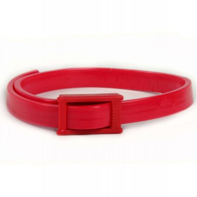 Collier anti puce chaton : À partir de quel âge ? Quelle efficacité !