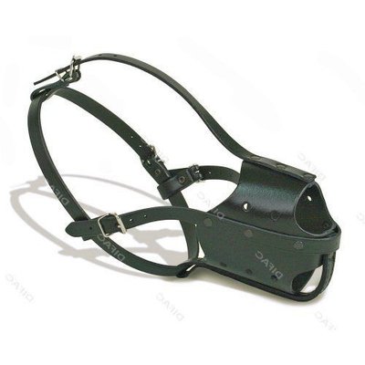 Harnais pour Malinois, Conseil d’achat !
