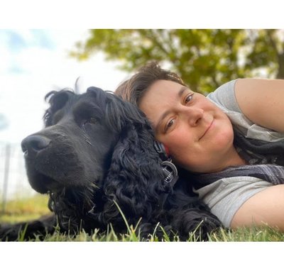 Cocker Spaniel Anglais - photo 26