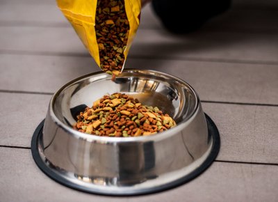 Croquettes versées du sachet dans une gamelle